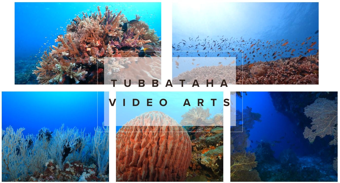 Tubbataha Video Arts